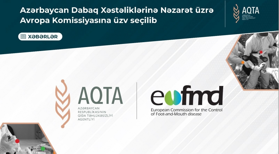 azerbaycan-dabaq-xesteliklerine-nezaret-uzre-avropa-komissiyasina-uzv-sechilib