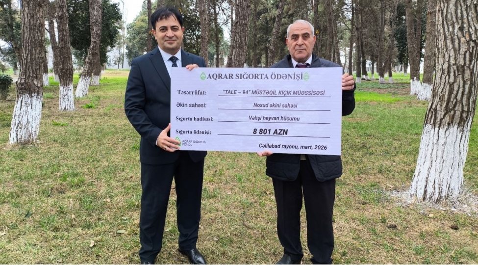 azerbaycanda-ilk-celilabadda-noxud-bitkisi-uzre-8801-manat-sigorta-odenishi