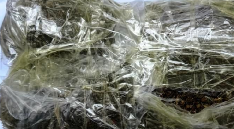 shabranda-iki-nefer-hebs-edildi