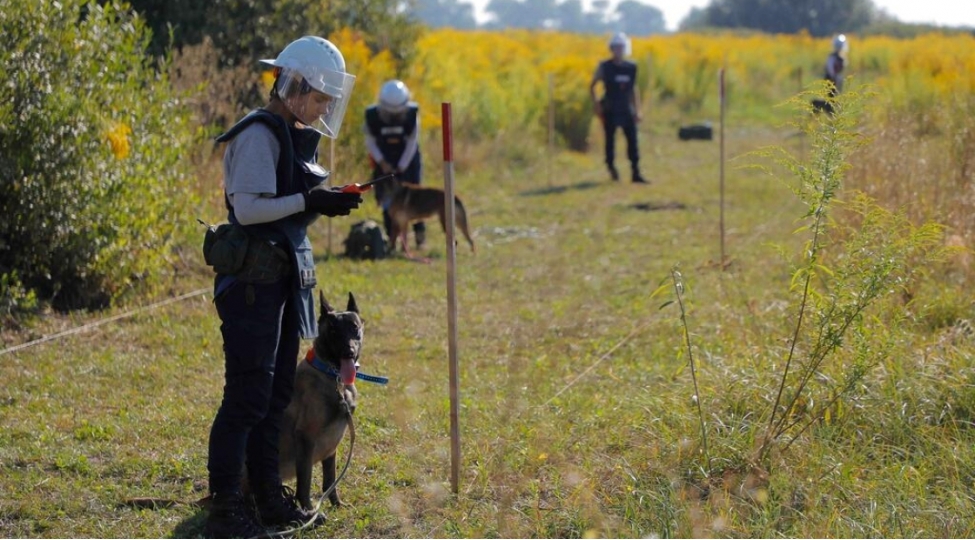 muharibe-veziyyetinde-olan-ukraynada-minatemizleme-tecrubesi