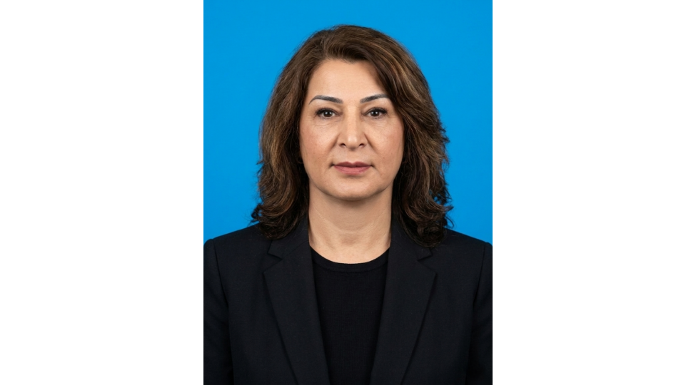 qerbi-azerbaycanin-berpa-olunan-enerji-menbeleri