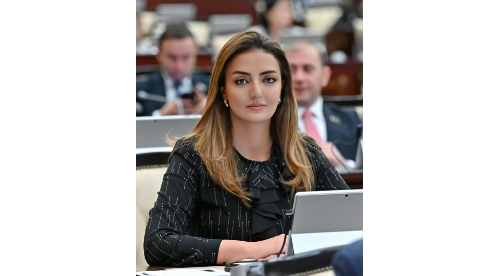 gender-ekspertizasi-mexanizminin-huquqi-esaslarinin-deqiqleshdirilmesi-vacibdir