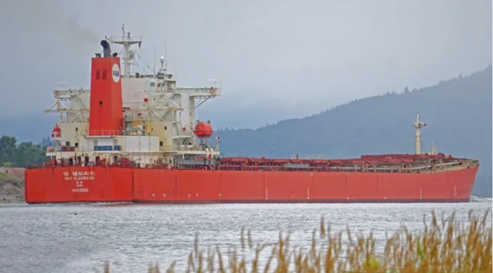 isvech-rusiyadan-yola-dushen-yuk-gemisini-saxladi