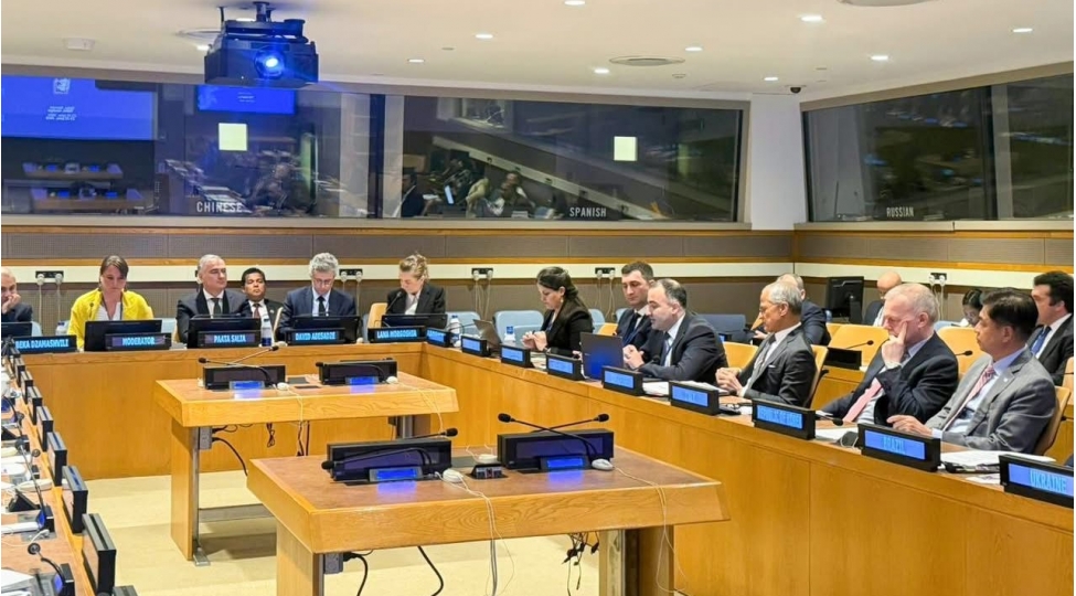 asan-xidmet-modeli-nyu-yorkda-diqqet-merkezinde