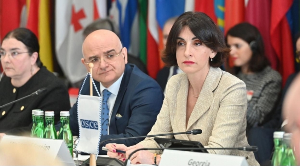 gurcustan-atet-in-tehlukesizlik-emekdashliq-forumunun-sedri-olub