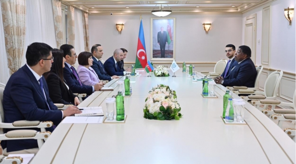 sahibe-qafarova-parlamentlerarasi-ittifaqin-bash-katibi-ile-gorushub-2