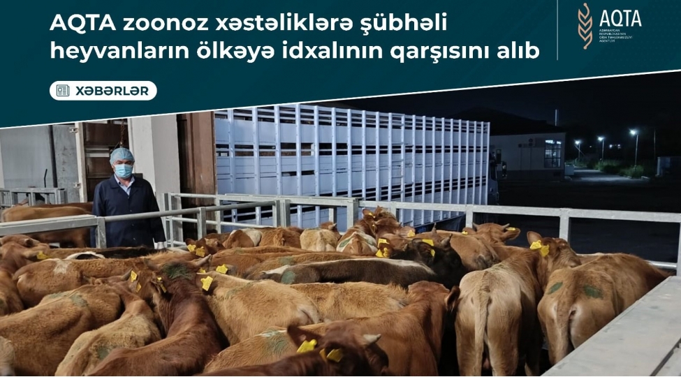 aqta-zoonoz-xesteliklere-shubheli-heyvanlarin-olkeye-idxalinin-qarshisini-alib-2