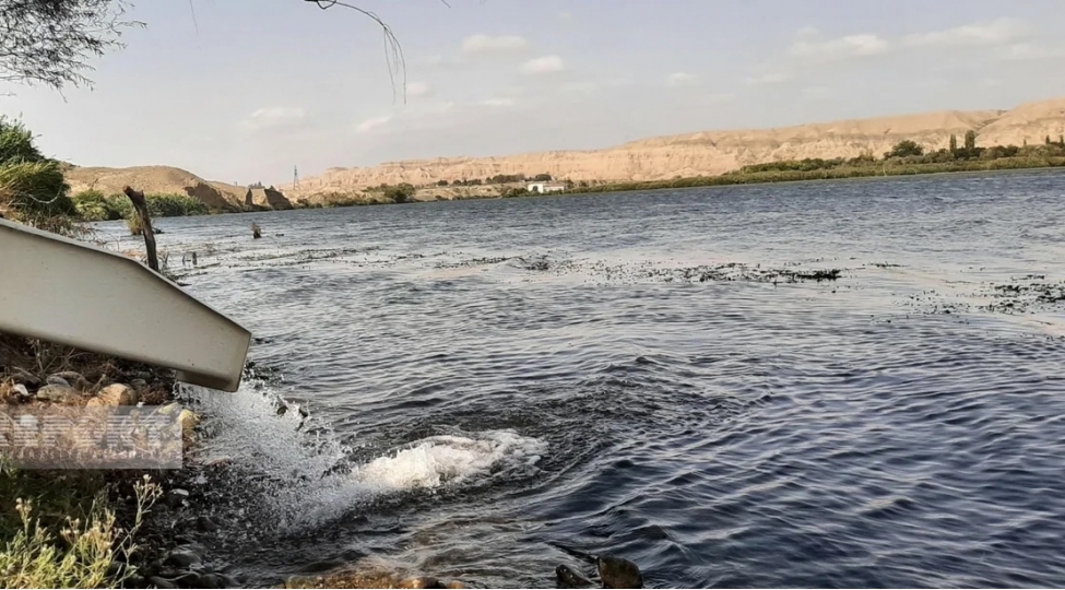 konlu-baliq-isteyenin