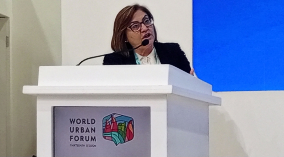 fatma-shahin-meskunlashma-meselelerinin-helli-zamani-ilk-novbede-sheherlerin-su-ve-enerji-techizatini-diqqetde-saxlamaq-lazimdir