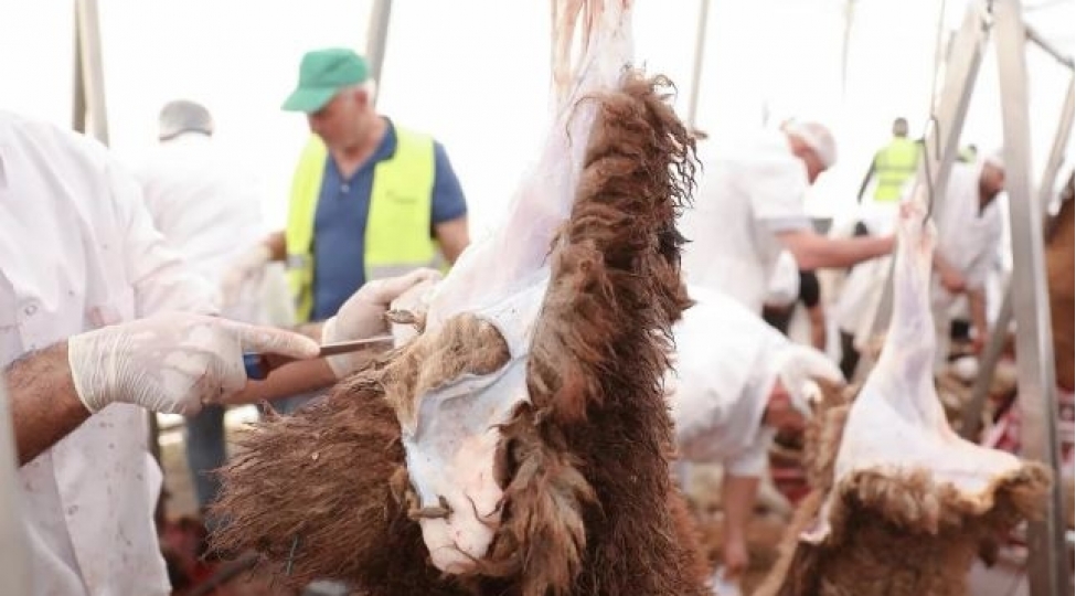 aqta-qurban-bayrami-gunlerinde-134-unvanda-satish-ve-kesim-xidmetleri-gosterilir