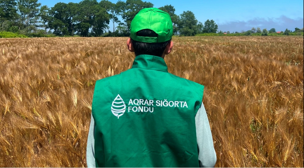 aqrar-sigorta-fondu-teserrufatlara-deyen-zererleri-qiymetlendirir
