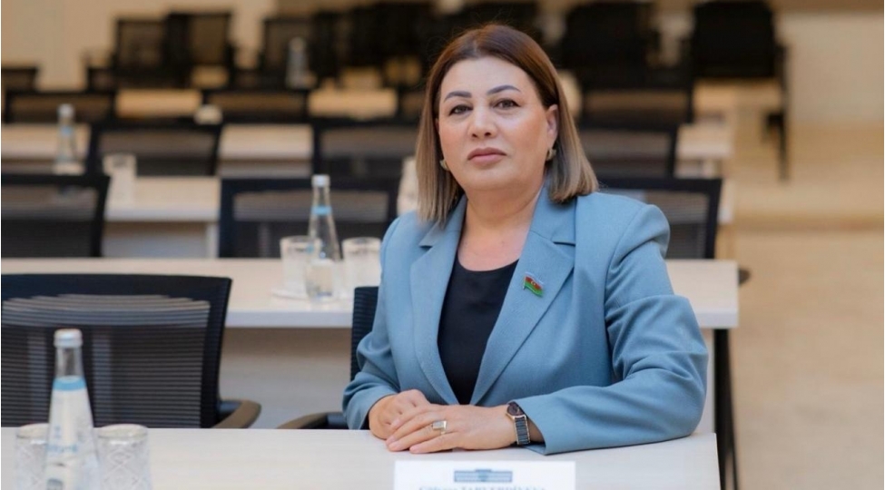 15-iyun-xalqimizin-milli-qurtulush-salnamesine-yazilan-tarix