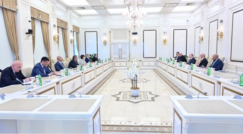 milli-meclisin-sedri-felestin-bash-naziri-ile-gorushub