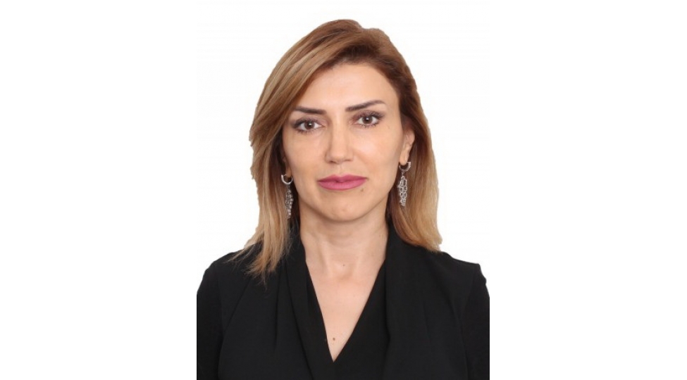 sherefli-inkishaf-yolu-milli-maraqlarin-qorunmasinda-metbuatin-rolu