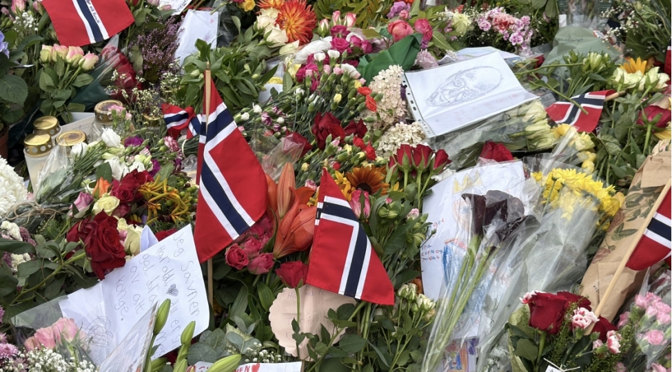 norvech-kral-v-haraldla-vidalashir