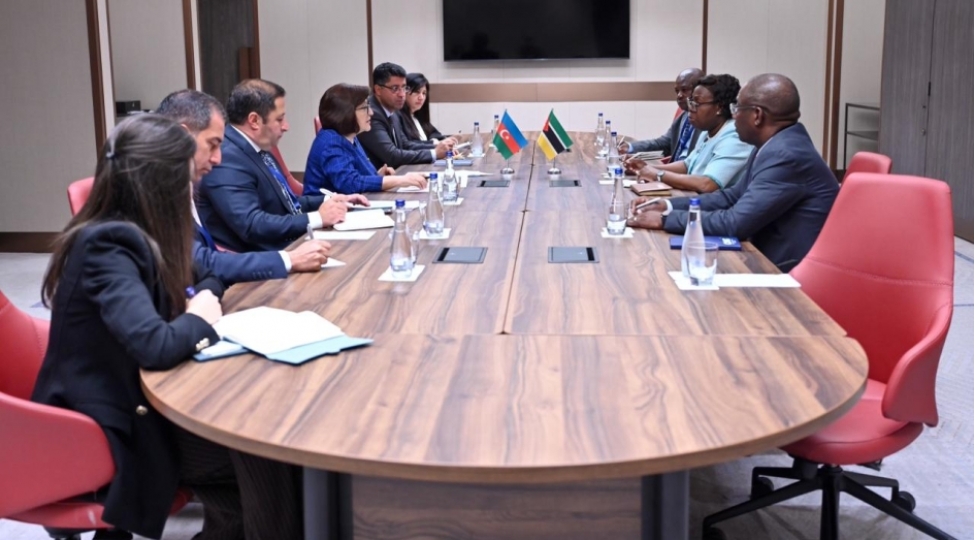 milli-meclisin-sedri-mozambikin-bash-naziri-ile-gorushub