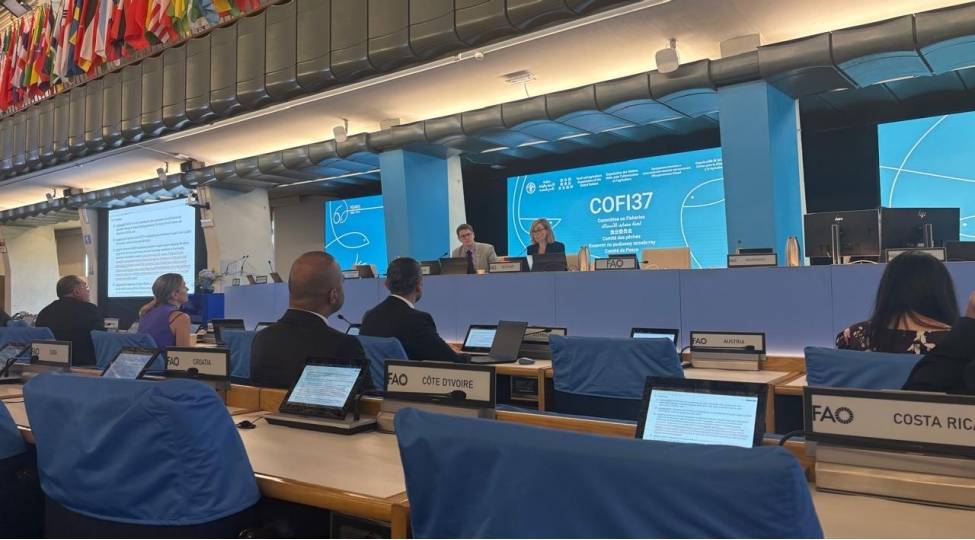 azerbaycan-numayende-heyeti-fao-nun-baliqchiliq-komitesinin-37-ci-sessiyasinda-ishtirak-edir