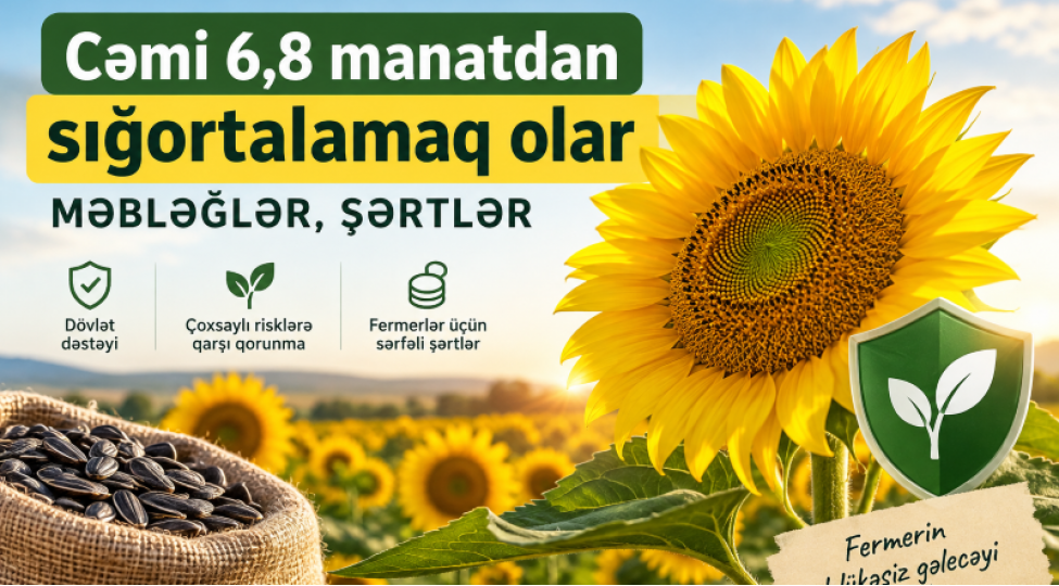 fermer-68-manat-odeyir-mehsulunu-choxsayli-risklerden-qoruyur-gunebaxan-sigortasi