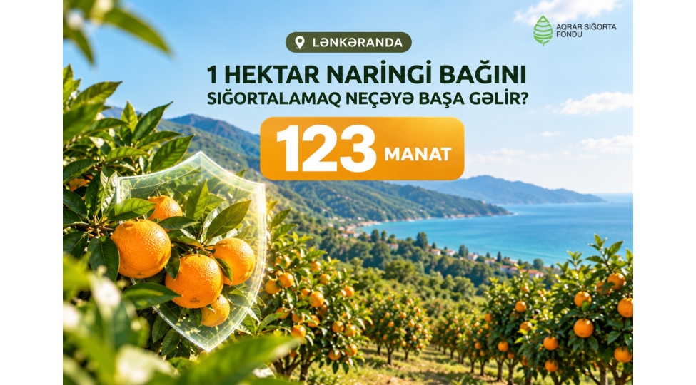 naringi-baglarinin-sigortalanmasi-fermerlerin-risklerden-qorunmasina-imkan-verir