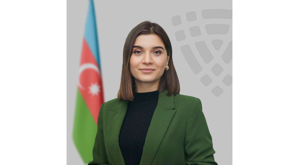 reqemsal-mekanda-kibertehdidlere-qarshi-vetendash-mesuliyyeti-guclendirilmelidir-musahibe