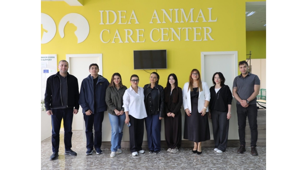 amada-numayendeleri-idea-heyvanlara-qaygi-merkezinin-qonagi-olublar