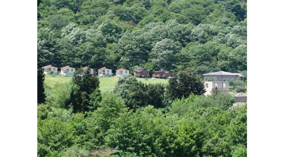 news-99503